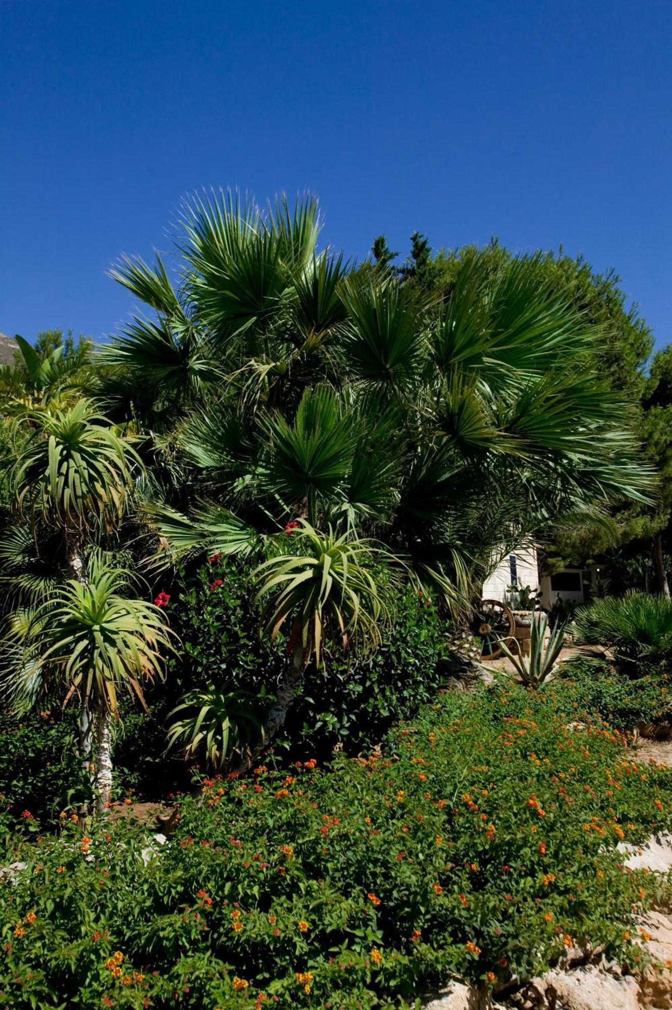 Miramare Residence Favignana Dış mekan fotoğraf