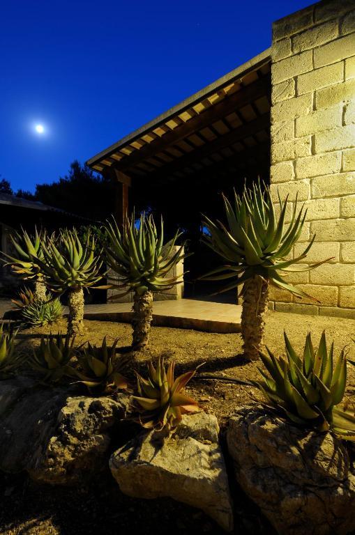 Miramare Residence Favignana Dış mekan fotoğraf